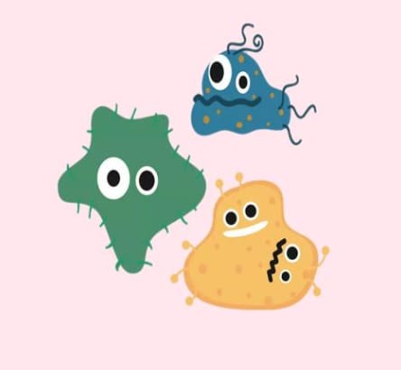 Norovirus Prevention and Treatment: Scientific Response to Safeguard Health